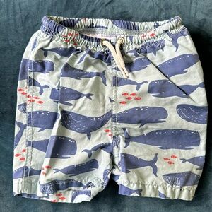 Mini Boden Baby Boden Boys Size 18-24 months  Bathing Suit Blue